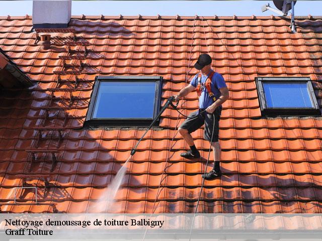 Nettoyage demoussage de toiture  balbigny-42510 Graff Toiture