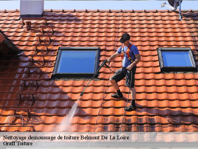 Nettoyage demoussage de toiture  belmont-de-la-loire-42670 Graff Toiture