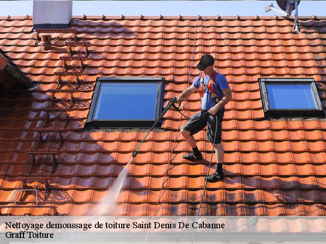 Nettoyage demoussage de toiture  saint-denis-de-cabanne-42750 Graff Toiture